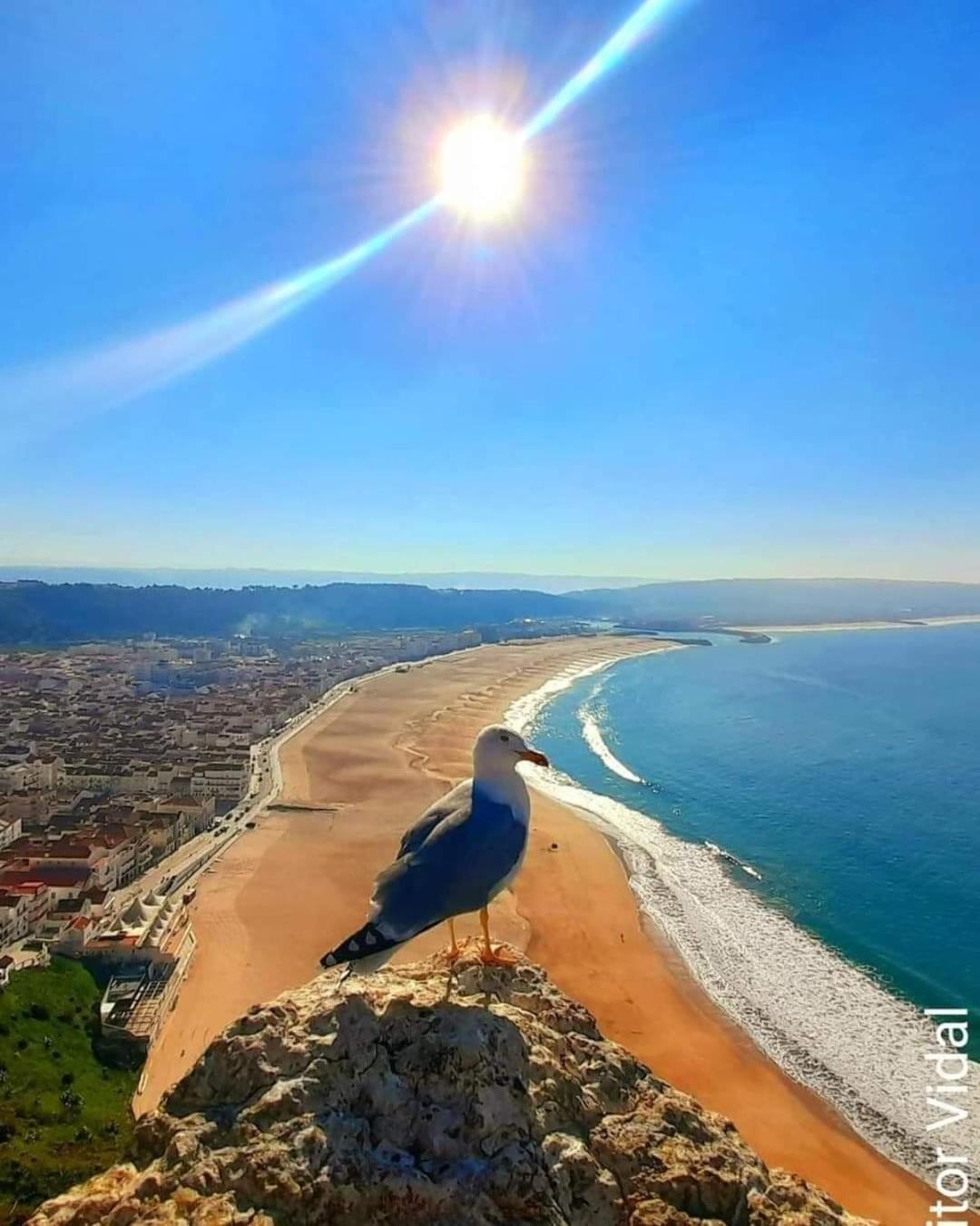 Maresia Villa Mar Nazare Exterior photo